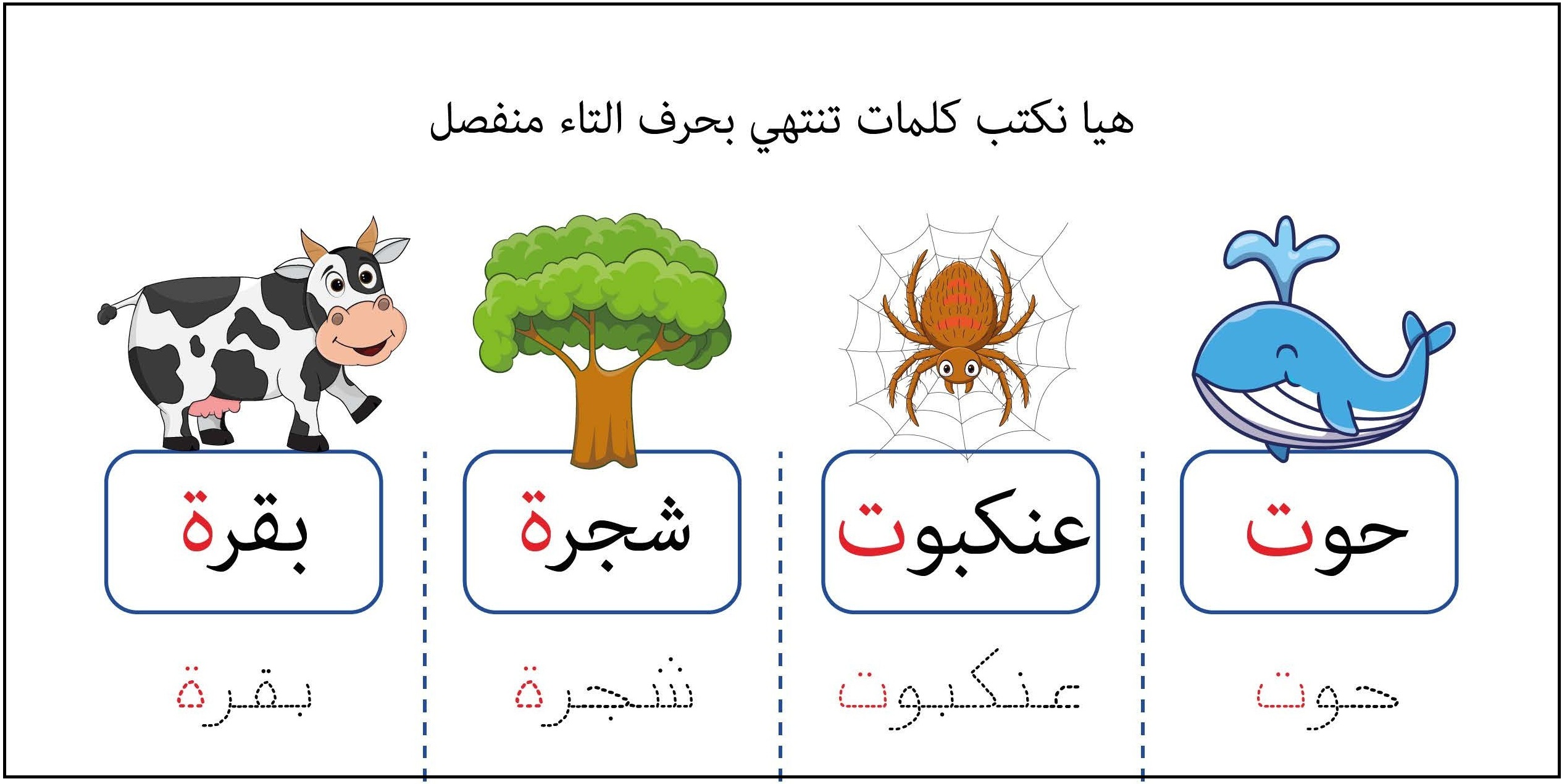 كلمات تنتهي بحرف التاء منفصل