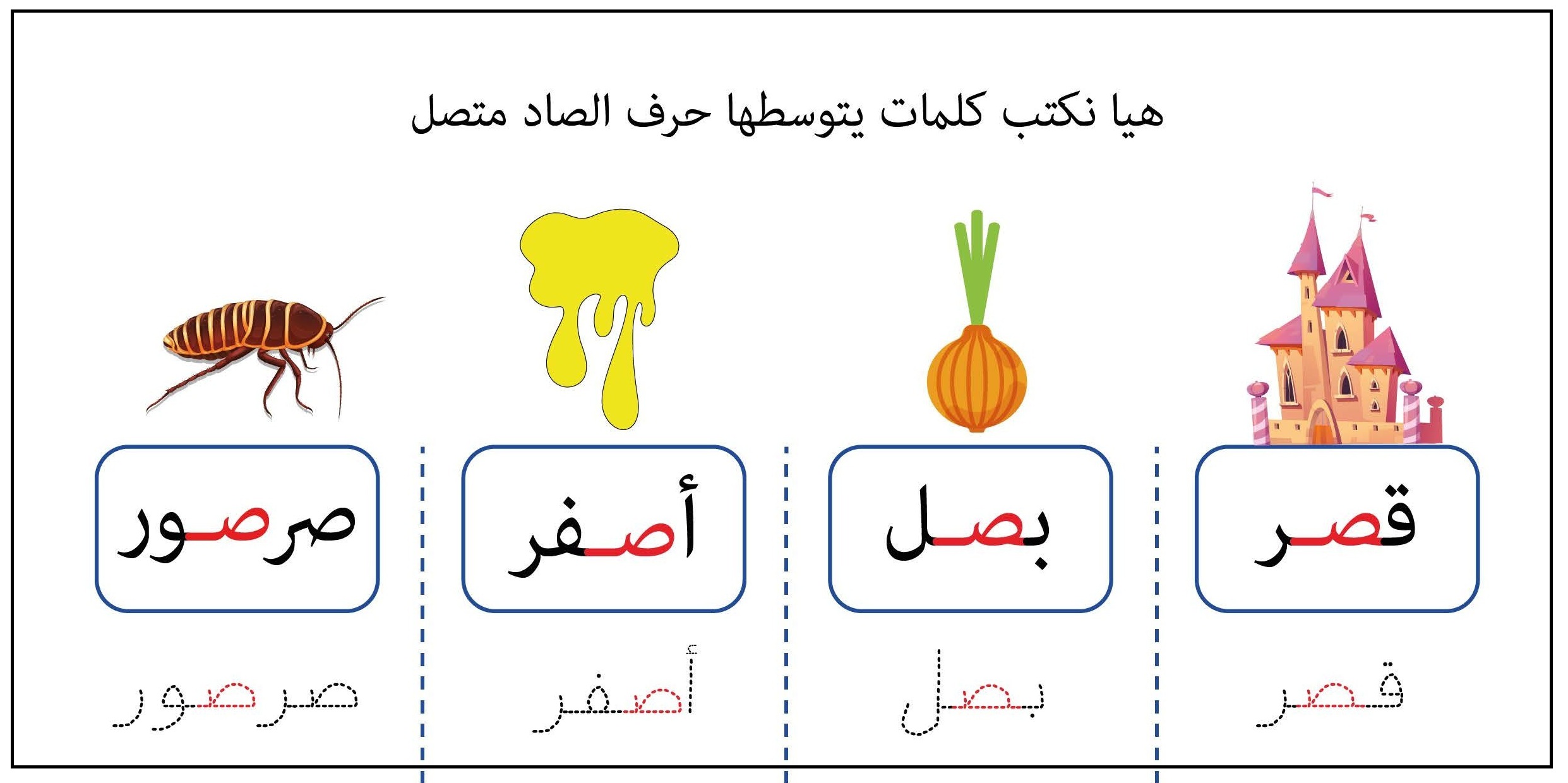 كلمات يتوسطها حرف الصاد متصل