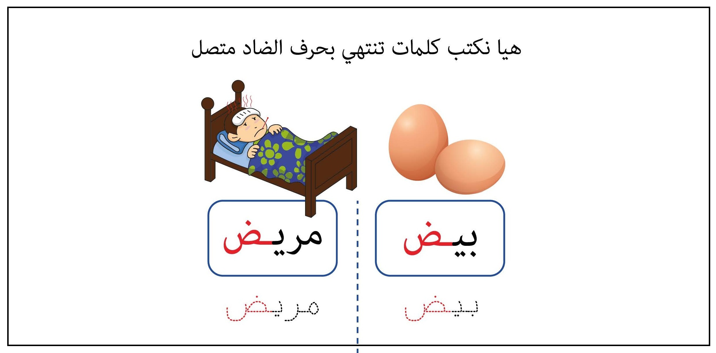 كلمات تنتهي بحرف الضاد متصل