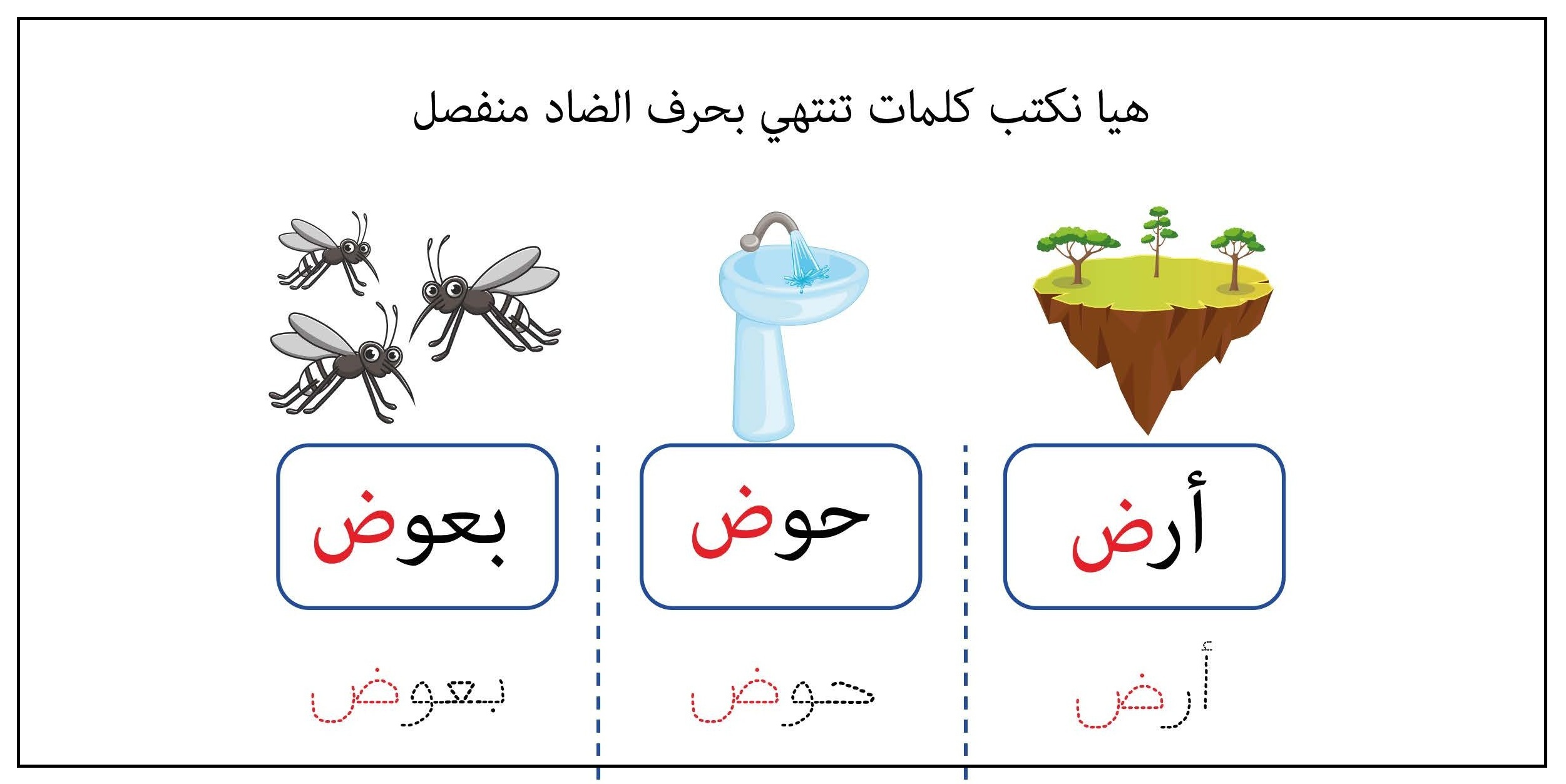 كلمات تنتهي بحرف الضاد منفصل