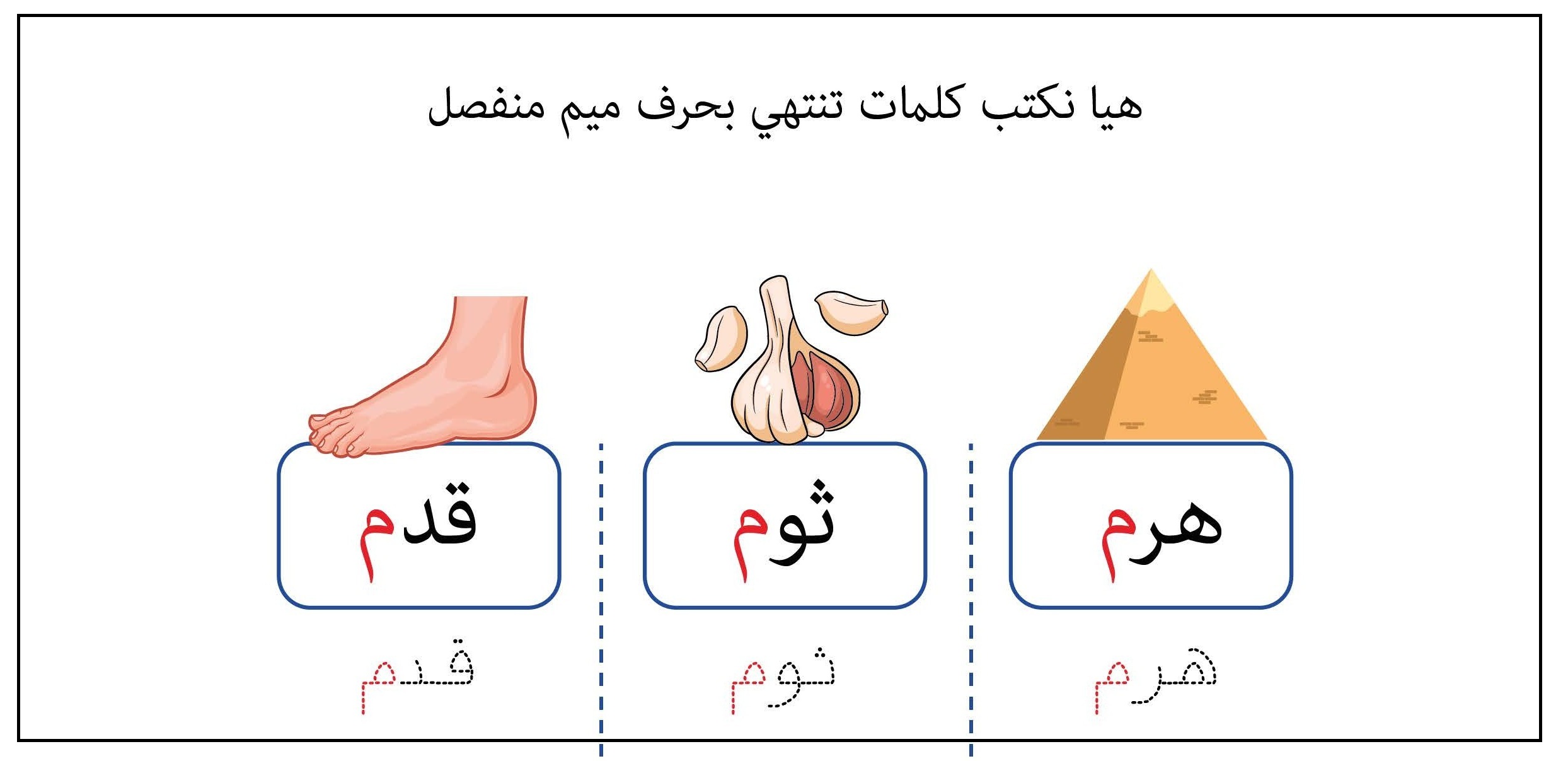 كلمات تنتهي بحرف الميم منفصل