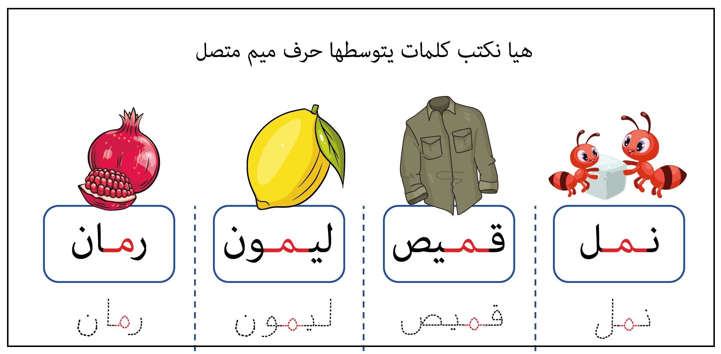 كلمات يتوسطها حرف الميم متصل