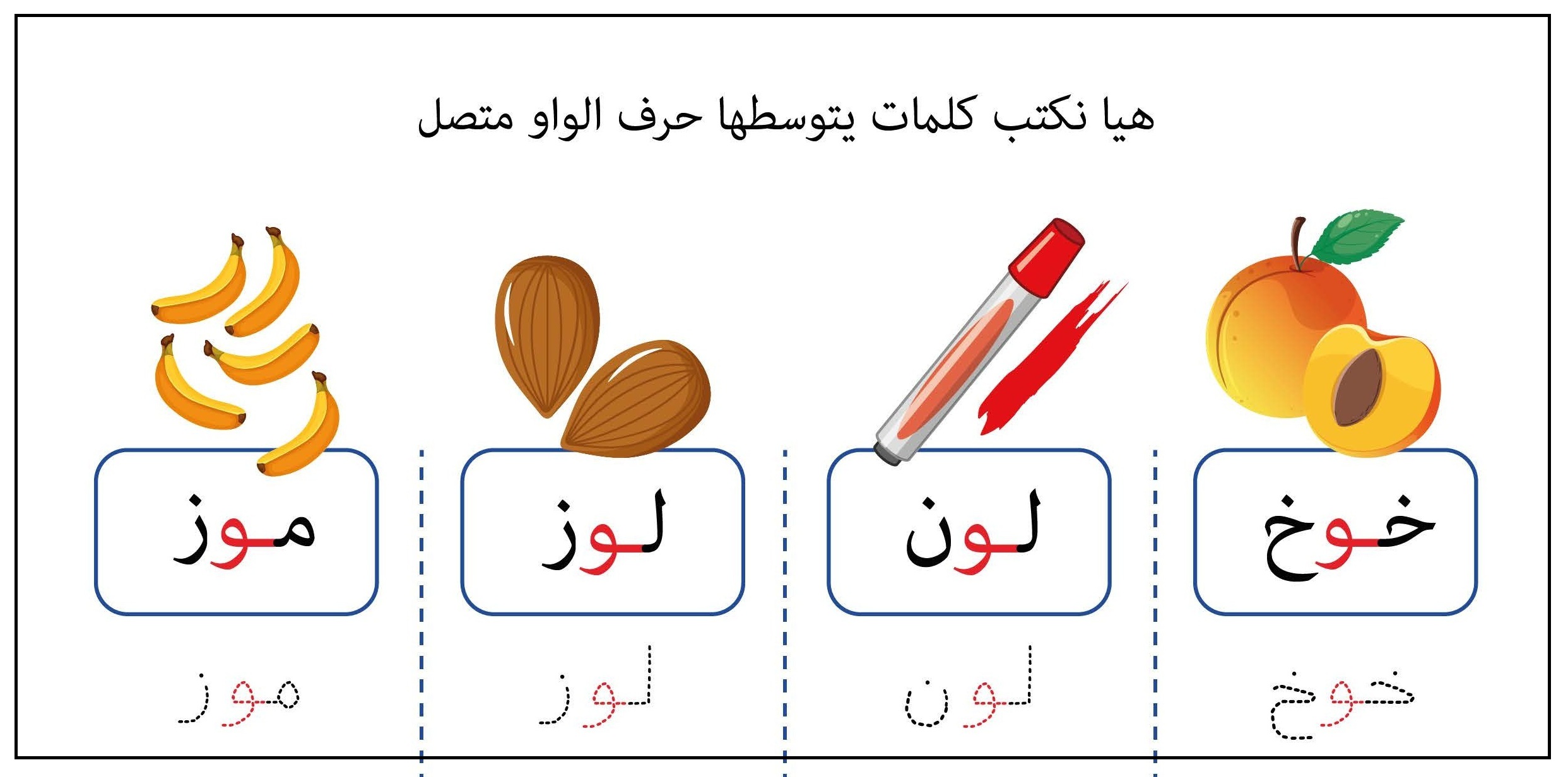 كلمات يتوسطها حرف الواو متصل